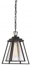 Minka-Lavery 73114-226 - 1 LIGHT CHAIN HUNG