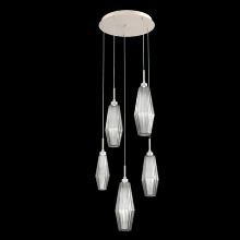 Hammerton CHB0049-05-BS-RS-C01-L1 - Aalto Round 5pc Multi-Pendant