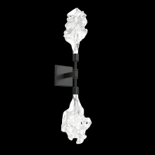 Hammerton IDB0059-02-FB-BC-L1 - Blossom Double Sconce