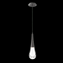 Hammerton LAB0078-01-GP-C-C01-L1 - Raindrop Pendant