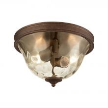 ELK Home Plus 46028/2 - FLUSH MOUNT