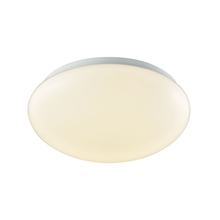 ELK Home Plus CL783004 - FLUSH MOUNT