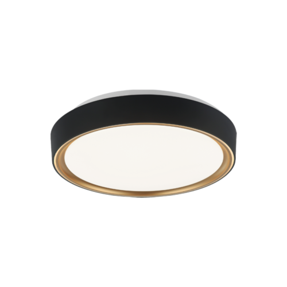 Alamus Aged Gold Brass + Matte Black Ceiling Mount
