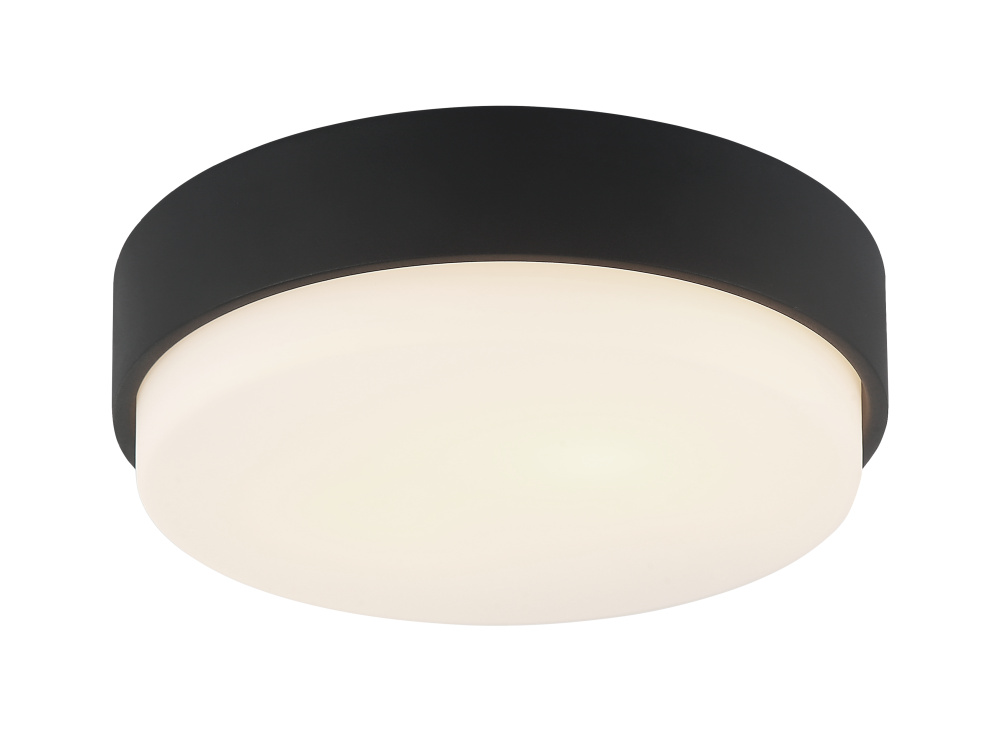 Quintz Matte Black Ceiling Mount