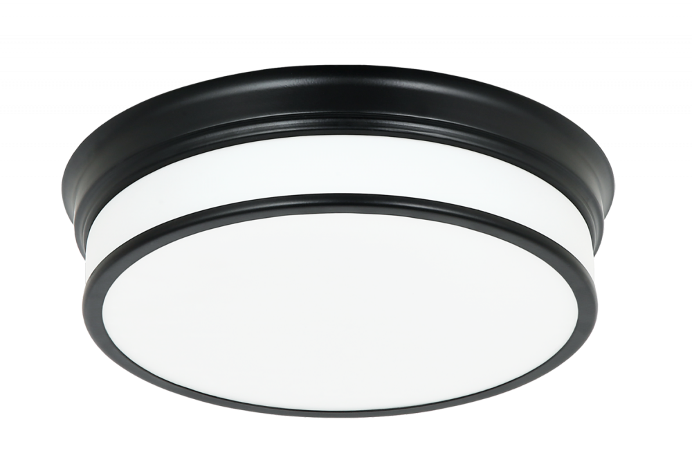 Navo Black Ceiling Mount