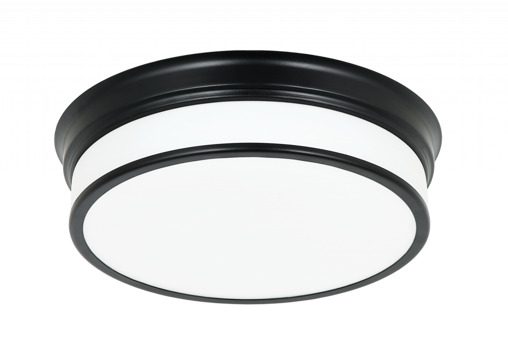 Navo Black Ceiling Mount