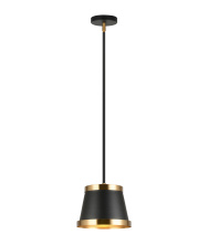 Matteo Lighting C62901BKAG - Caske Black Pendant