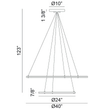 C66164BG_D.jpg