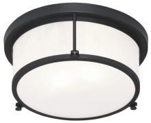 Matteo Lighting M14902MB - Caisse Claire Matte Black Ceiling Mount