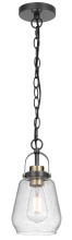 FX-3824-1_LS.jpg