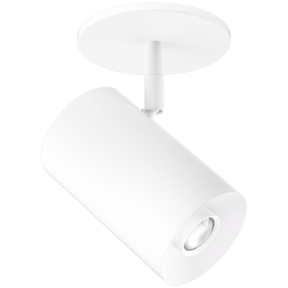 3" MONOPNT 18°-50° 750LM SSD SLVR