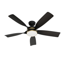 Casablanca Fan Company 53650 - Casablanca 52 inch Julia ENERGY STAR® Matte Black Damp Rated Ceiling Fan with LED Light Kit