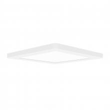 Access 20840LEDD-WH/ACR - Dual Voltage LED Flush Mount