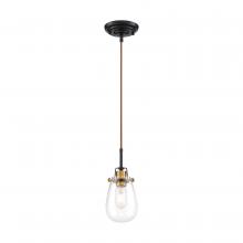 Nuvo 60/6852 - Toleo- 1 Light Mini Pendant - with Clear Glass - Black Finish with Vintage Brass Accents