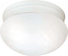 Nuvo SF76/613 - 2 Light - 10" Flush with Alabaster Glass - Textured White Finish