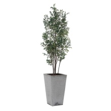 Uttermost 60269 - Uttermost Sonora Olive Tree In Planter